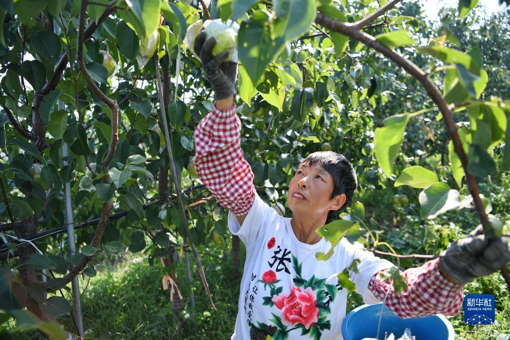 糖果派对彩金什么样