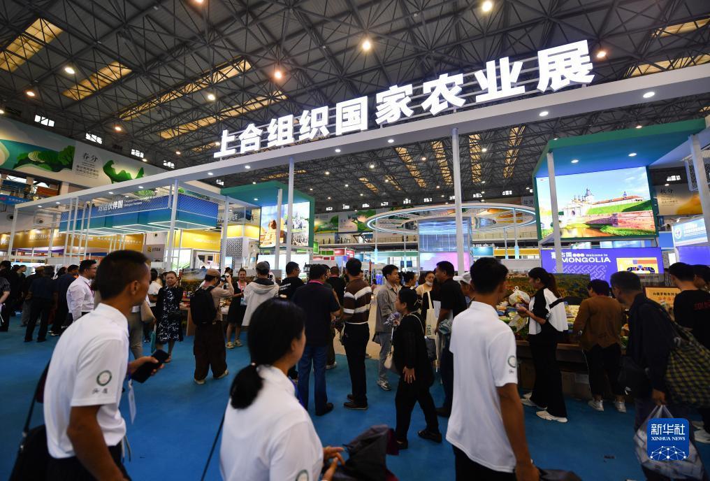 捕鱼游戏平台排行榜
